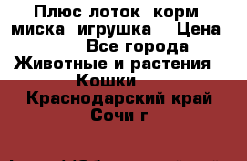 Плюс лоток, корм, миска, игрушка. › Цена ­ 50 - Все города Животные и растения » Кошки   . Краснодарский край,Сочи г.